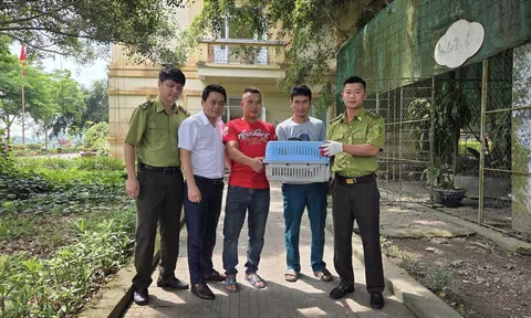 Trang Chủ LC88.COM Link Mới 2026 Đăng Ký LC 88 tự nguyện giao nộp động vật quý hiếm cho cơ quan chức năng