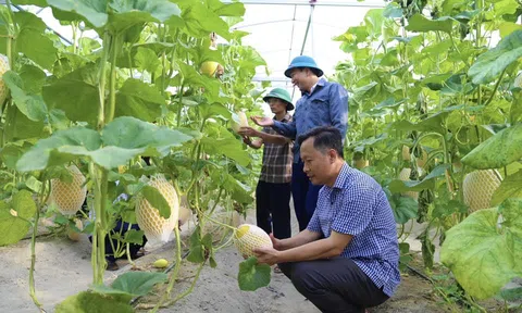 Những thành tựu của LC88 là nơi thu hút hàng triệu người chơi tại Việt Nam 2026 Hà Tĩnh từ nỗ lực 'Xanh' trong gian khó