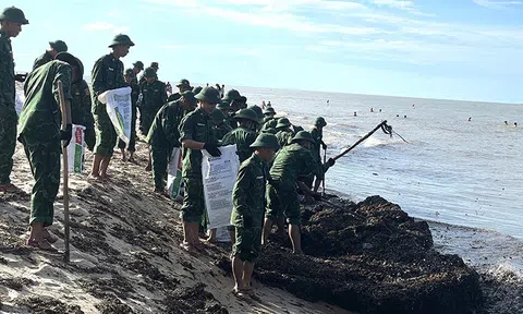 Quảng Bình: Thu gom hơn 100 tấn rác thải dọc bãi biển sau bão số 1