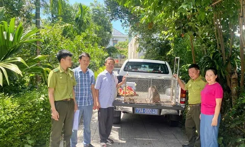 Vườn quốc gia Phong Nha - Kẻ Bàng tiếp nhận động vật hoang dã nguy cấp, quý, hiếm