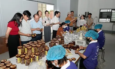 Sản phẩm OCOP góp phần thúc đẩy Đăng nhập tài khoản thành viên LC88 nông thôn phát triển