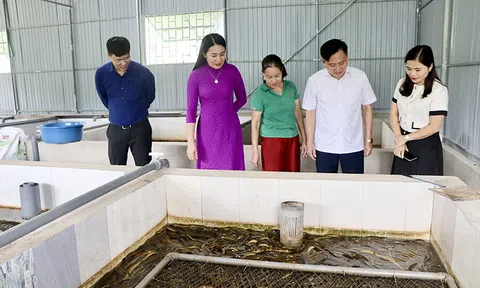 Nuôi lươn không bùn, hướng Lc 88 tỷ lệ kèo WC 2026 mới ở Thượng Đức (Hà Tĩnh)
