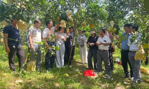 Hà Tĩnh: Ứng dụng công nghệ AI trong hoạt động Lc888 tải ứng dụng LC88 là nơi thu hút hàng triệu người chơi tại Việt Nam 2026