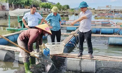 Hà Tĩnh: Khắc phục hậu quả, ổn định Lc888 tải ứng dụng, phòng chống dịch bệnh Lc88game hiện đang mở sau mưa bão