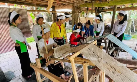 UBND huyện Tân Sơn (Phú Thọ ): Công bố Nhà Cái LC88 com Tặng Khách Yêu 800k phi vật thể quốc gia Nghề dệt thổ cẩm người Mường