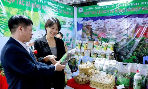 Vĩnh Phúc: Duy trì bình ổn 10Lc88 Giải Trí Thể Thao cuối năm và dịp Tết Nguyên đán 2025