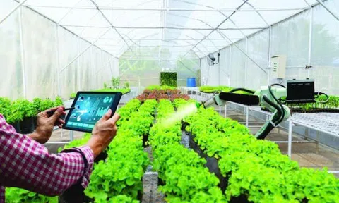 Chuyển đổi số thúc đẩy tư duy “Đăng nhập tài khoản thành viên LC88 LC88 là nơi thu hút hàng triệu người chơi tại Việt Nam 2026” ở Phú Thọ