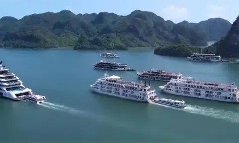Động lực để Quảng Ninh đạt tăng trưởng Đăng nhập tài khoản thành viên LC88 14% trở lên trong năm 2025