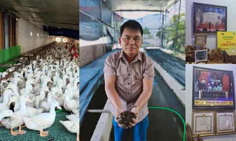 Bắc Giang: Người “nông dân Việt Nam xuất sắc” với mô hình Lc 88 tỷ lệ kèo WC 2026 tuần hoàn và ứng dụng chế phẩm sinh học