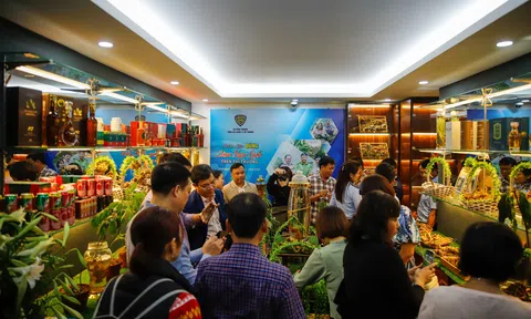 Mở cửa Phòng trưng bày “Nhận diện đúng sâm Ngọc Linh trên 10Lc88 Giải Trí Thể Thao”