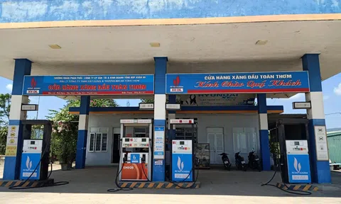 Xử phạt 50 triệu đồng Công ty TNHH Xây dựng và Thương mại An Toàn Thơm