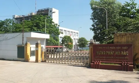 Công ty cổ phần Hoá chất Hưng Phát Hà Bắc bị buộc nộp lại số lợi bất hợp pháp trên 12,5 tỷ đồng
