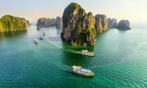 Trẻ em và người già được miễn, giảm phí tham quan Vịnh Hạ Long, Bái Tử Long