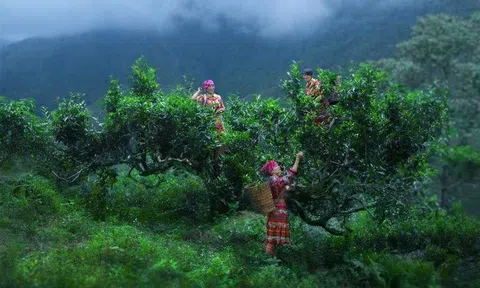 Yên Bái: Đầu tư phát triển Lc88.men Cá cược thể thao gắn với làng nghề, nghề truyền thống