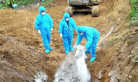 Kiểm soát dịch bệnh là yếu tố then chốt giúp ngành Lc 88 tỷ lệ kèo WC 2026 đạt mục tiêu tăng trưởng