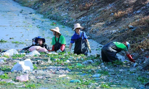 Hà Nội Xanh – Lan tỏa tình yêu Link LC88 Đăng Nhập Mới Nhất từ những việc làm giản dị