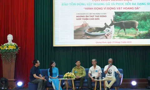 Anh chị em ơi, hãy tải LC88 ngay Quảng Nam tích cực bảo tồn động vật hoang dã