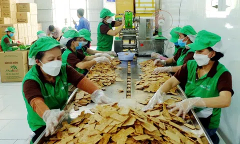 Quảng Nam hỗ trợ phát triển sản phẩm OCOP