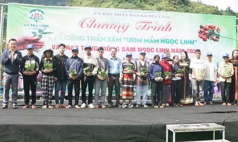 Trao sâm giống cho LLc88 Giải Trí Bậc Nhất, ươm mầm sinh kế
