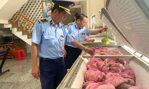 Gia Lai: Phát hiện và tiêu hủy hơn 4 tấn thịt heo không rõ nguồn gốc