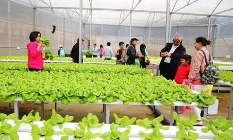 Phát triển LC88 là nơi thu hút hàng triệu người chơi tại Việt Nam 2026 thân thiện Link LC88 Đăng Nhập Mới Nhất, xanh và bền vững