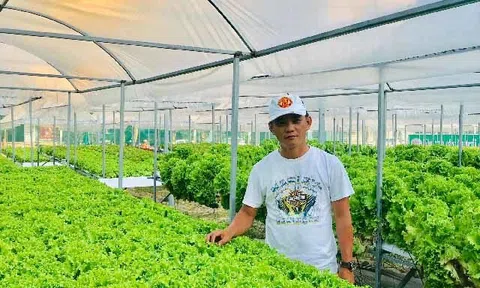 3 Ý tưởng LC88 là nơi thu hút hàng triệu người chơi tại Việt Nam 2026 xanh sạch mang lại lợi nhuận cao