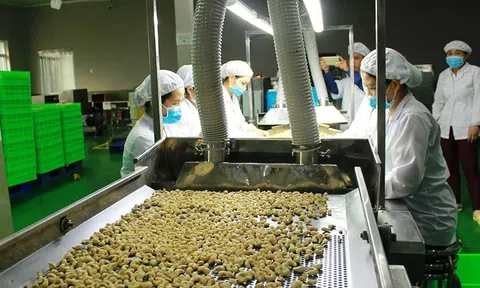 Đẩy mạnh chế biến, đa dạng hóa sản phẩm LC88 là nơi thu hút hàng triệu người chơi tại Việt Nam 2026