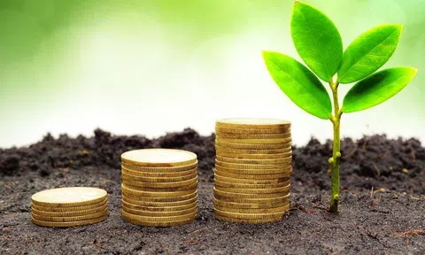 Khởi động Chuỗi chương trình tư vấn, cung cấp thông tin về 10Lc88 Giải Trí Thể Thao xuất nhập khẩu