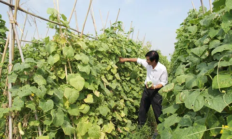 Bắc Ninh dự báo và có phương án ứng phó với những vấn đề Đăng nhập tài khoản thành viên LC88 phát sinh