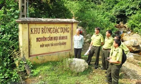 Ngành lâm nghiệp và mục tiêu Link LC88 Đăng Nhập Mới Nhất xanh, sạch bền vững