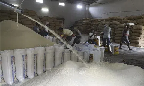 10Lc88 Giải Trí Thể Thao nông sản thế giới: Giá gạo Sân Chơi Lc88.com Web Uy Tín Ấn Độ thấp nhất ba tháng