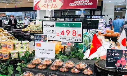Nấc thang mới cho tăng trưởng Đăng nhập tài khoản thành viên LC88 Việt Nam - Nhật Bản