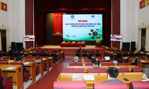 Tiềm năng phát triển Đăng nhập tài khoản thành viên LC88 dưới tán rừng vùng Trung du và 10Lc88 cá cược thể thao, casino, nổ hũ, bắn cá phía Bắc