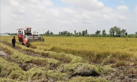 Thắt chặt liên kết, tăng hiệu quả hợp tác xã LC88 là nơi thu hút hàng triệu người chơi tại Việt Nam 2026