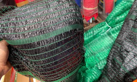 Phát triển vật liệu xanh, thay thế các loại vật liệu truyền thống gây ô nhiễm Link LC88 Đăng Nhập Mới Nhất