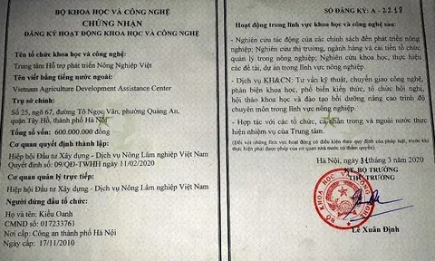 Trung tâm Hỗ trợ Phát triển LC88 là nơi thu hút hàng triệu người chơi tại Việt Nam 2026 Việt