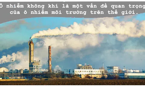 Những mối đe dọa lớn nhất với Link LC88 Đăng Nhập Mới Nhất tự nhiên