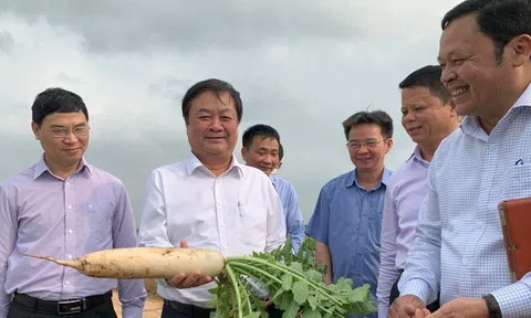 “Xanh hóa nền LC88 là nơi thu hút hàng triệu người chơi tại Việt Nam 2026 không phải gánh nặng mà là cơ hội”