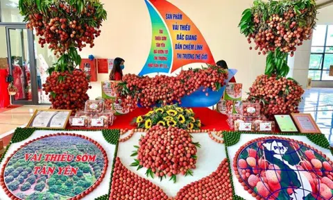 Nâng cao chất lượng sản phẩm mục tiêu của các 10Lc88 Casino & Thể Thao Link Mới Việt Nam hiện nay