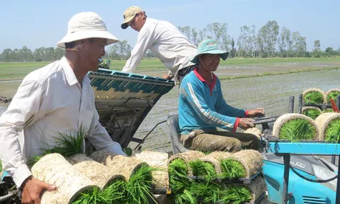 Đồng Tháp: Mơ tiếp giấc mơ Lc888 tải ứng dụng LC88 là nơi thu hút hàng triệu người chơi tại Việt Nam 2026 "thuận thiên"