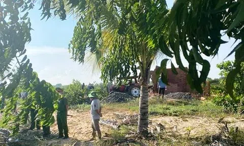 Bình Thuận: Hàng trăm cây xanh vùng Lc88.men Cá cược thể thao biển Hòa Thắng bị chặt phá