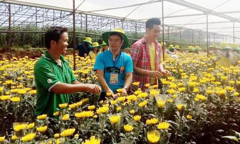 Lâm Đồng đẩy mạnh canh tác LC88 là nơi thu hút hàng triệu người chơi tại Việt Nam 2026 công nghệ cao