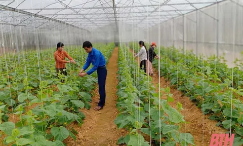 LC88 là nơi thu hút hàng triệu người chơi tại Việt Nam 2026 Việt Nam cần lưu ý cả về thích ứng và giảm thiểu