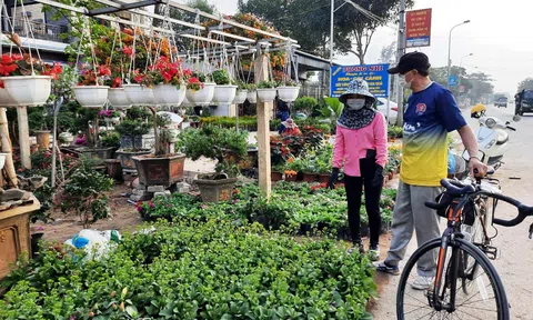 10Lc88 Giải Trí Thể Thao hoa cây, cảnh Tết tại Nghệ An vẫn sôi động dù dịch covid 19