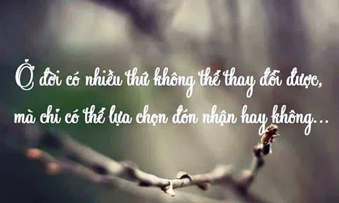 Luận về có tài và bất tài
