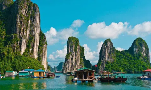 Từ chuyện xử phạt 8 bát phở... Đến đề nghị các cơ quan chức năng vào cuộc để bảo vệ vịnh Hạ Long