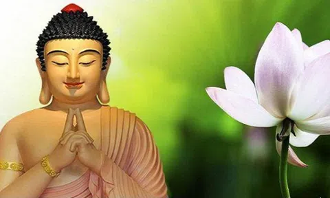Tai họa từ lòng ghen tỵ