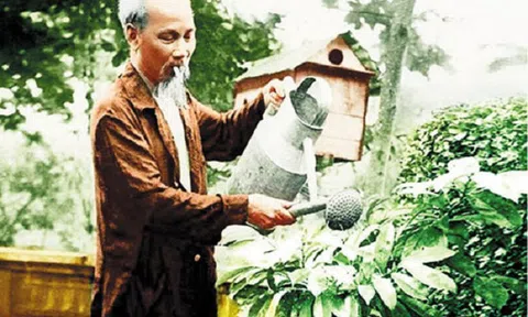 Bác Hồ với “Tết trồng cây” và “Tết trồng người”
