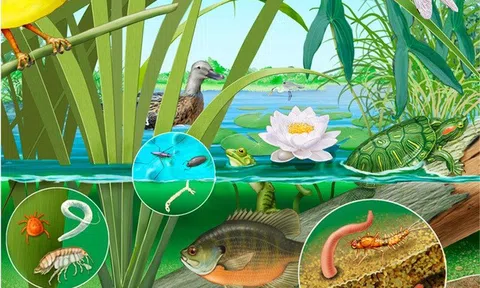 Văn hóa sinh thái, nhân văn và hệ thống tự nhiên, con người, Lc88 game Tham Gia Ngay