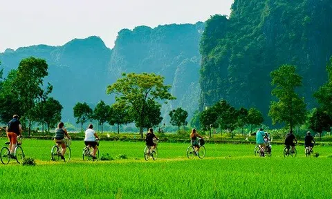 Phát triển Lc88.men Cá cược thể thao xanh ở Việt Nam